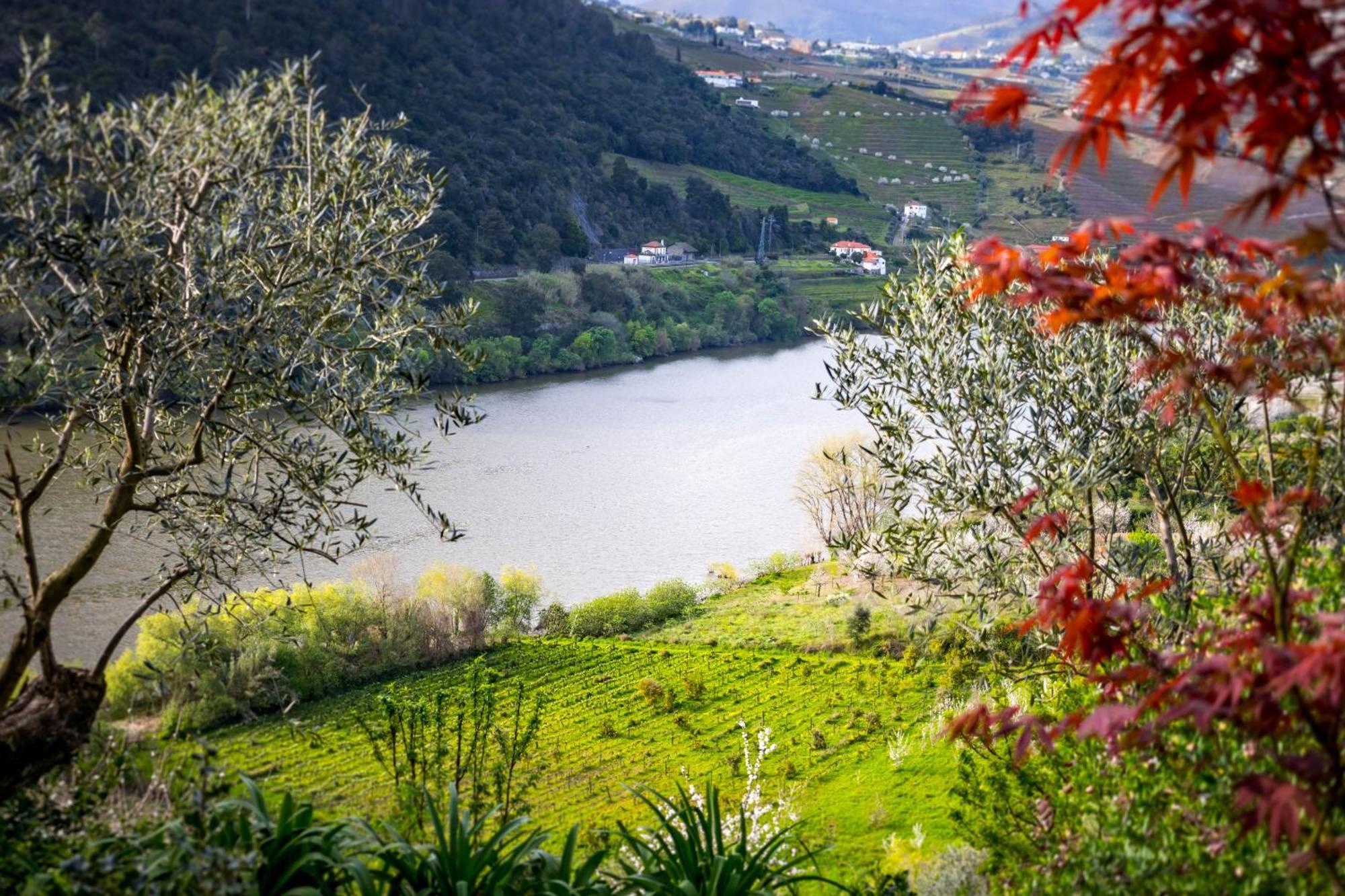 Fraga Douro House, Douro Valley Resende Eksteriør billede